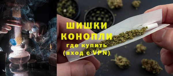 дживик Володарск