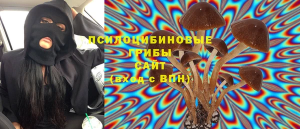 дживик Володарск