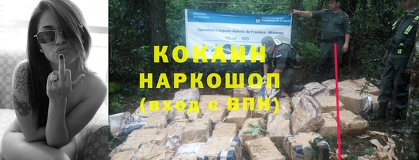 дживик Володарск