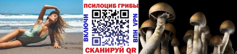 Псилоцибиновые грибы Magic Shrooms  Купить  Минусинск 